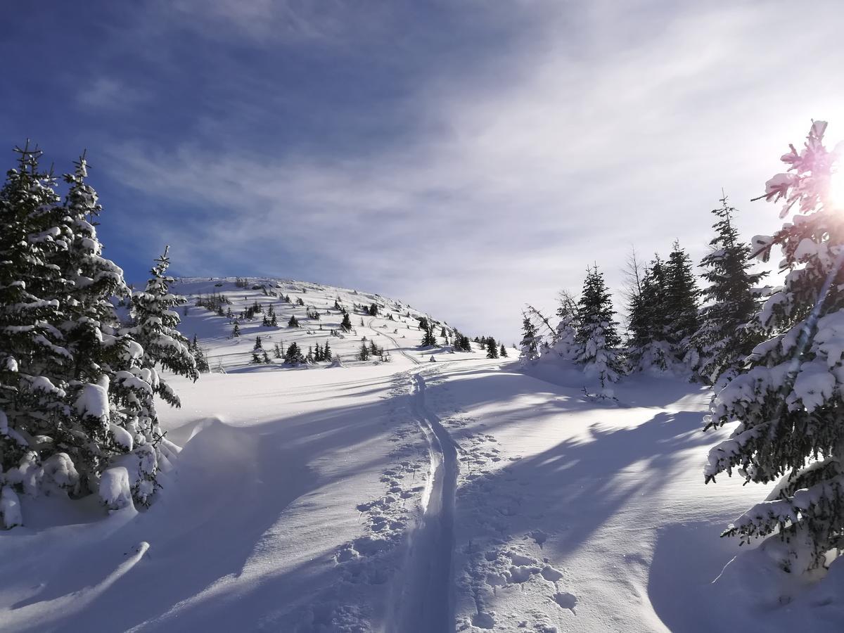 Premium Appartements Sonnenbahn Sankt Michael im Lungau Buitenkant foto